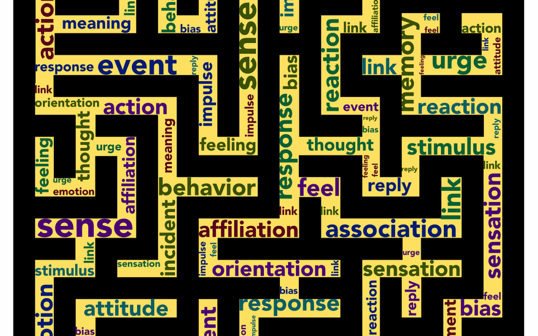 11 Biases that distort your Decision-Making