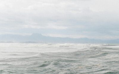 Lessons From 20 Years of Managing Money